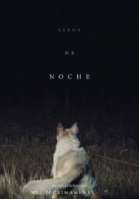 Llega de noche (It Comes at Night)