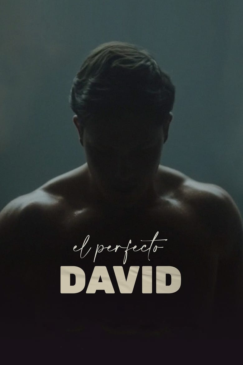 El perfecto David