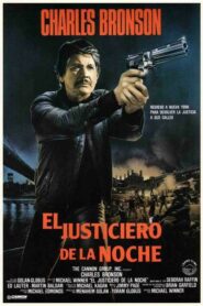 El justiciero de la noche