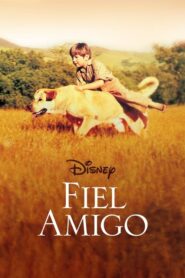 Fiel amigo