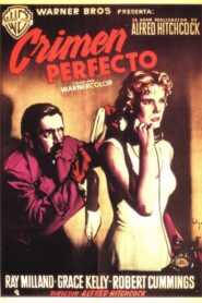 Crimen perfecto