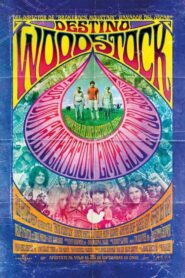 Destino: Woodstock (Taking Woodstock)