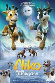 Niko: Más allá de la aurora boreal