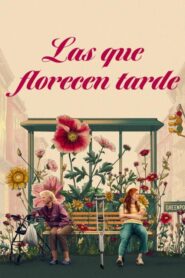 Las que florecen tarde (Late Bloomers)