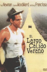 El largo y cálido verano (Noche larga y febril)