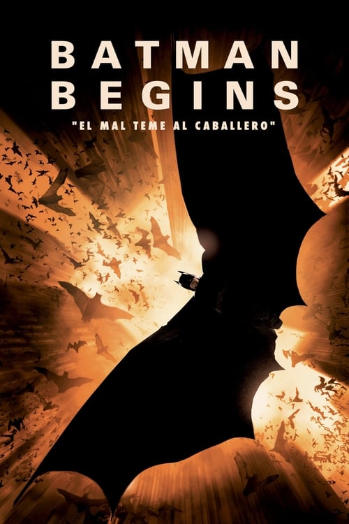 Batman Begins (Batman inicia)