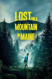 Perdido en la montaña (Lost on a Mountain in Maine)