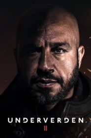 Underverden 2 (La venganza del justiciero)