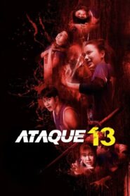 Attack 13