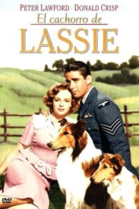 El cachorro de Lassie (El hijo de Lassie)