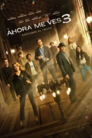 Ahora me ves 3 (Los ilusionistas)