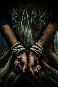 Bark